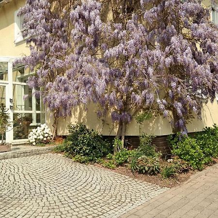 Pension Franzbaecker วาร์บวร์ก ภายนอก รูปภาพ